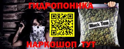 шишки Славянск-на-Кубани