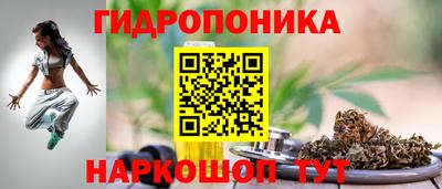 шишки Славянск-на-Кубани