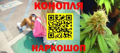 шишки Славянск-на-Кубани
