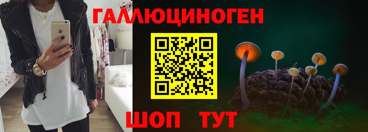 Псилоцибиновые грибы Psilocybe  Псилоцибиновые грибы Magic Shrooms  Нальчик  Вход с VPN 